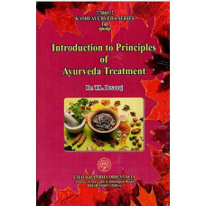 Introduction to Principles of Ayurveda Treatment 